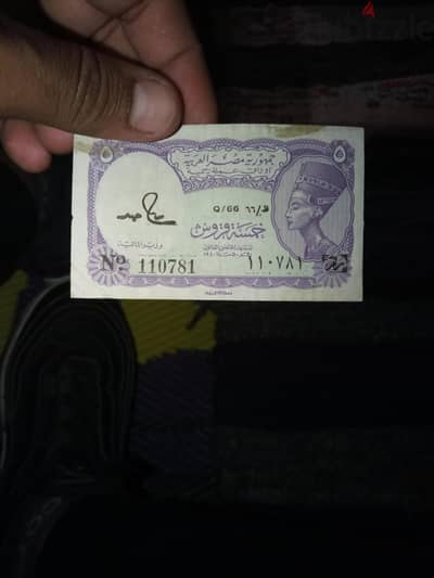 شلن نفرتيتي
