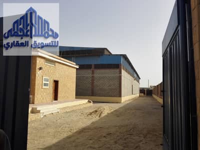 مصنع للب غذائي دوائي مرخص في بني سويف