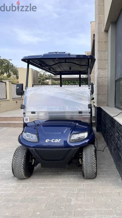 Golf Cart from Owner