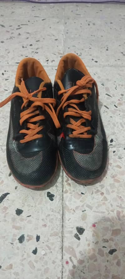 استارز رياضي