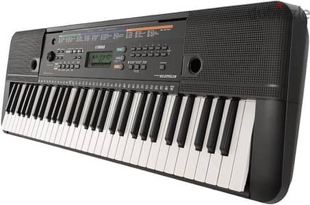Yamaha PSR-E253