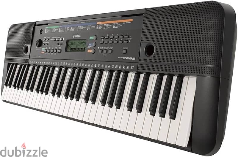 Yamaha PSR-E253 1