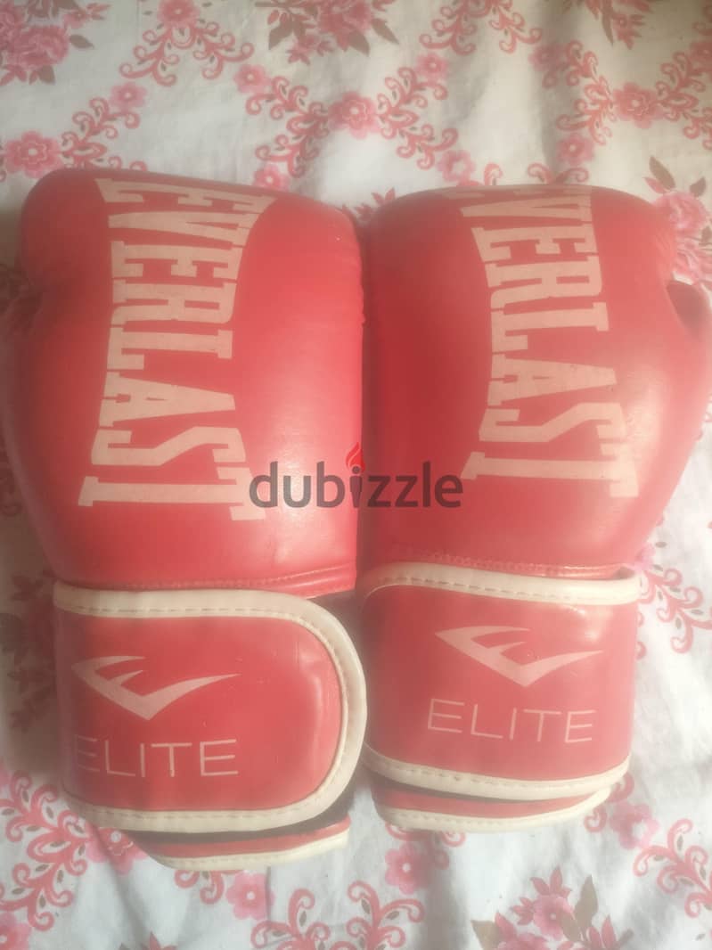 Everlast 1