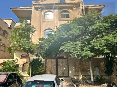 البنفسج 10