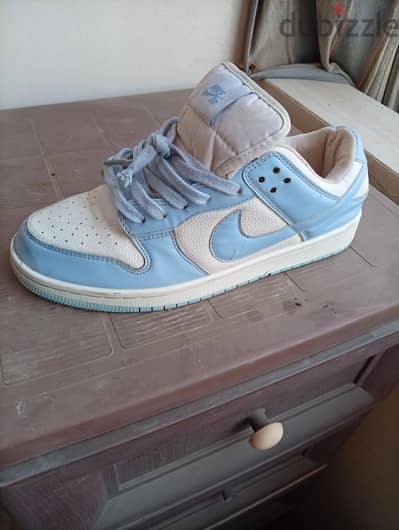 Nike sb