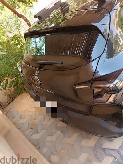 رينو كارديان 2026