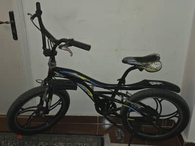Phoenix bicycle