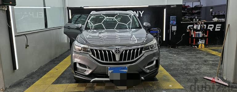 Brilliance V6 2019