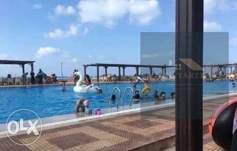 شقه للايجار المفروش بالبنفسج التجمع الخامس