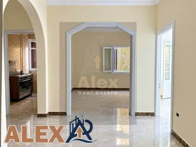 شقه للايجار  السكني في كليوباترا خطوات من ابوقير