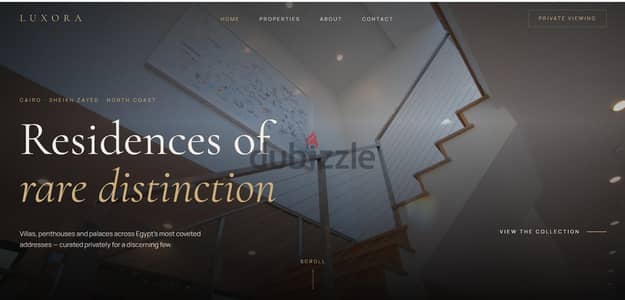 Professional Website Design & Development