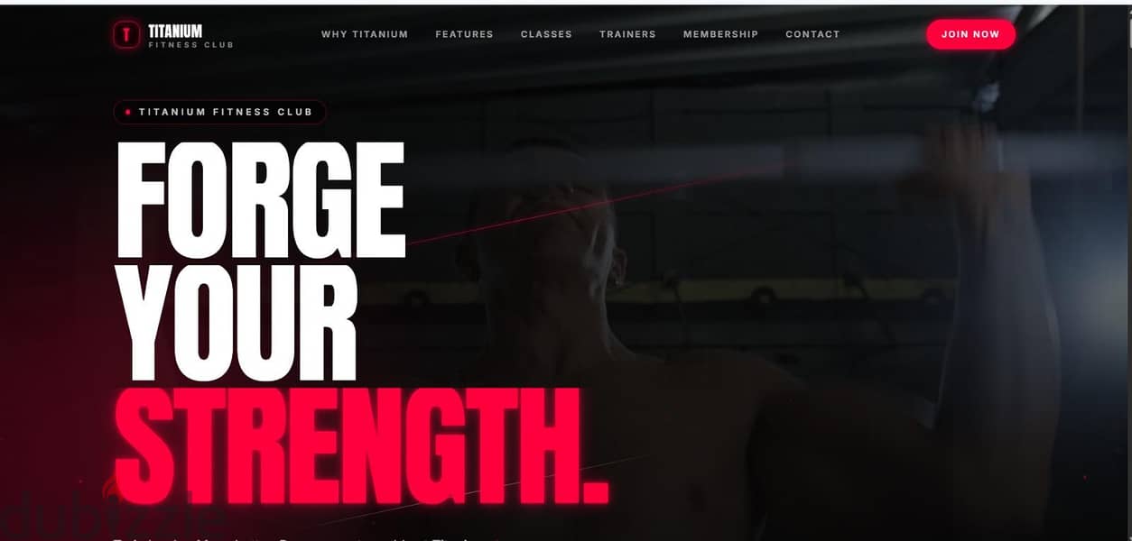 Professional Website Design & Development 1