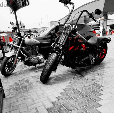 Harley-Davidson Cross Bones