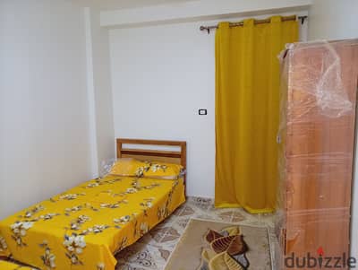 High-end furnished apartment for annual rent: suitable for a family, a groom, a student, or a company. 3 bedrooms, two-piece reception, kitchen, bathroom. First upper floor. All amenities available: water, electricity, and natural gas. Located in Alexandria, Al Agami, Kilometre 21, October entrance, before the gate, in a very distinguished location.