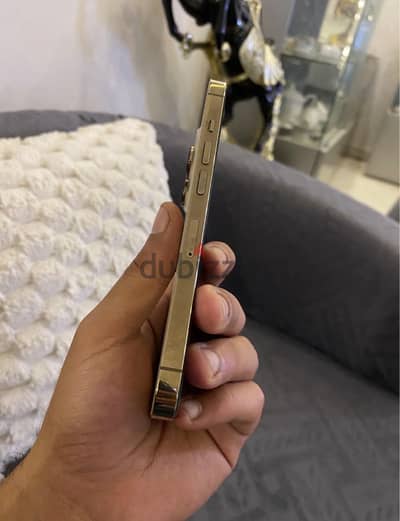 آبل - آيفون 13 برو