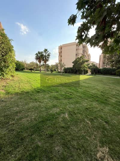For rent, a ground land in my city with a garden