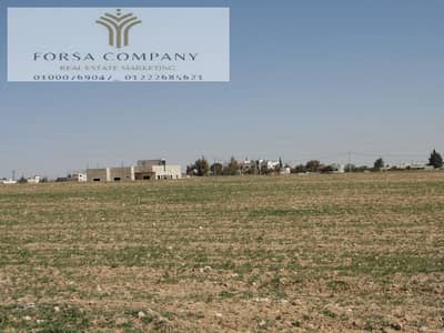 Code 318 | Land for sale in Ali Beik Al Kabeer - A unique investment opportunity!