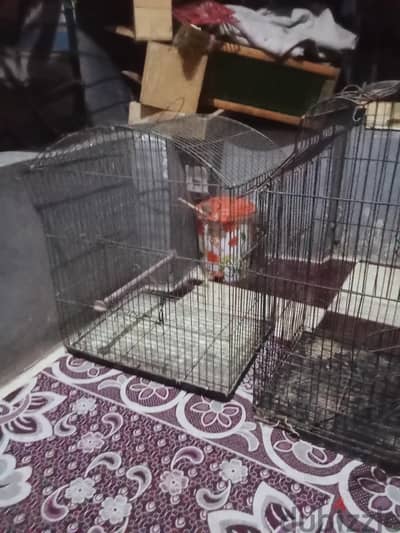 بيع اقفاص عصافير