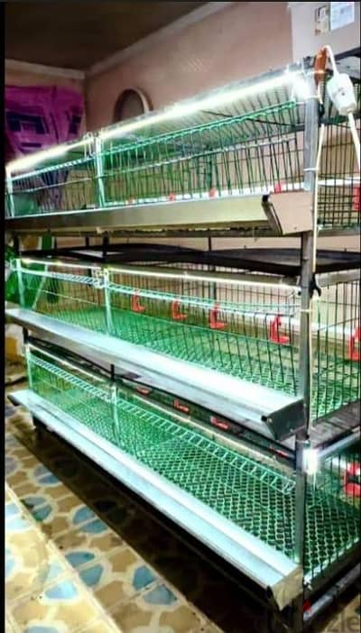بطاريات  فراخ  تسمين حركه  بتشيل لحد 200 فرخه لو عايز  تعمل مزرعه فراخ