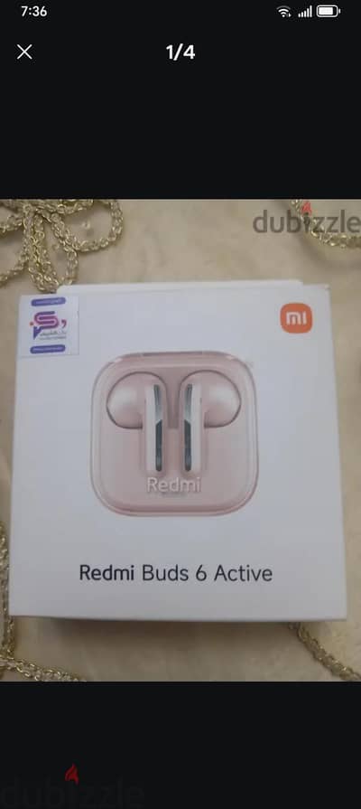 raidm budsi 6 active