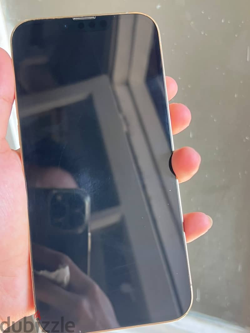 Iphone 13 pro max 1