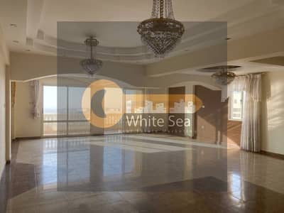 شقة سكنية للايجار ٢٥٠م بسموحة شارع مصطفى كامل