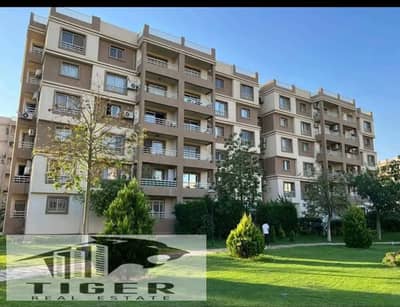 Apartment in my city, ground floor with garden in b6 at a bargain price