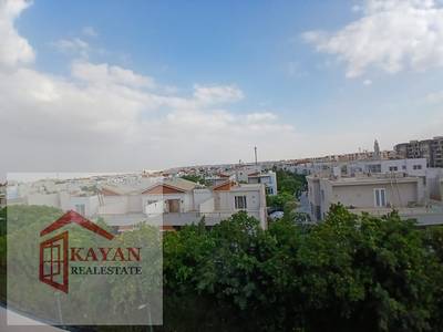 Studio for rent in Sheikh Zayed, Zayed Dunes Compound