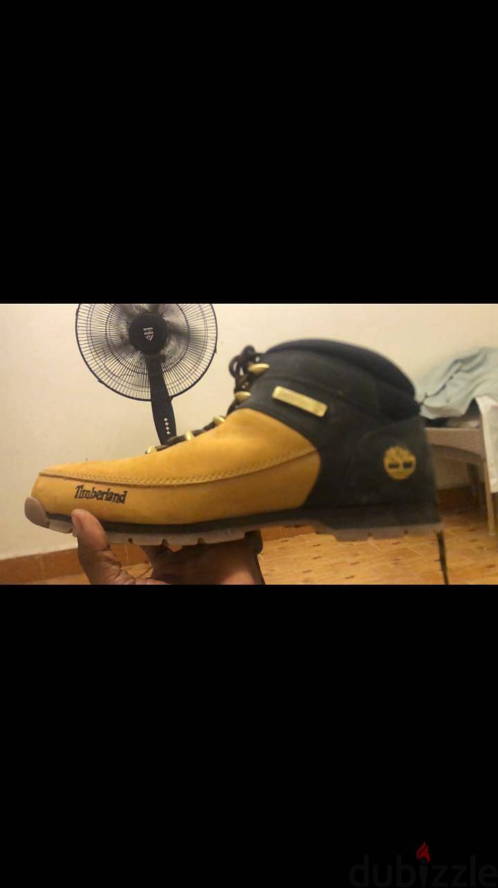 Timberland 1