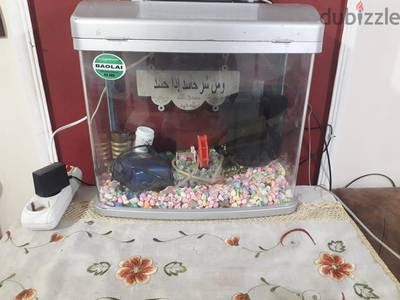 حوض سمك بمشتملاته كلها