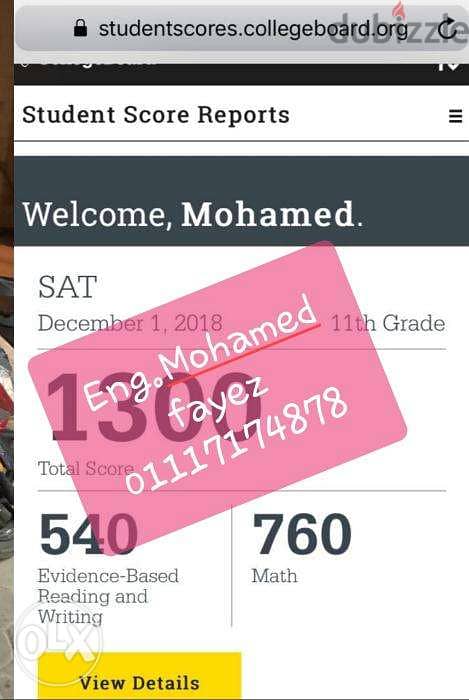 Mathematics Teacher ,Tutoring Online For IG, SAT and IB Systems 7