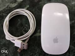 Apple Magic Mouse 2 0
