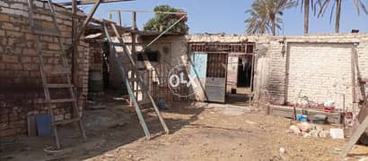عنابر للإيجار في أبو ترك جناين السويس بمساحة١٥٠٠متر تصلح تربيه أو مخزن 0