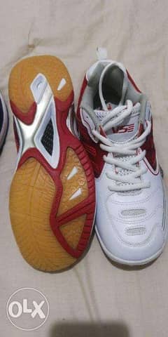 حذاء جديد كرة طائرة يد اسكواش ريشة VSE Shoes Handball,badminton 0