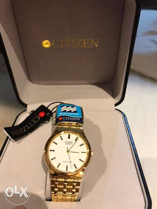 Citizen Watch 2