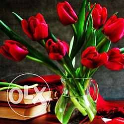 لوحه مودرن زهور حمراء بهيجه ١٠٥ ف ٦٥ سم