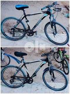 2 bike trinx m216v 0