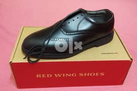 Safety Redwing Office Size 43 0