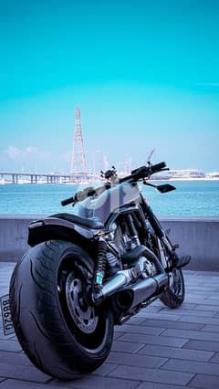 2013 Harley-Davidson VROD Muscle 0