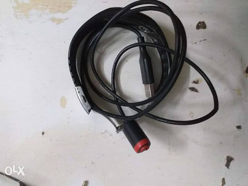 Polar loop 2 1