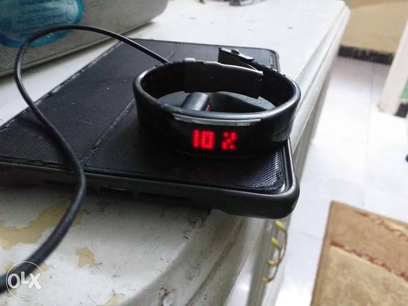 Polar loop 2 2