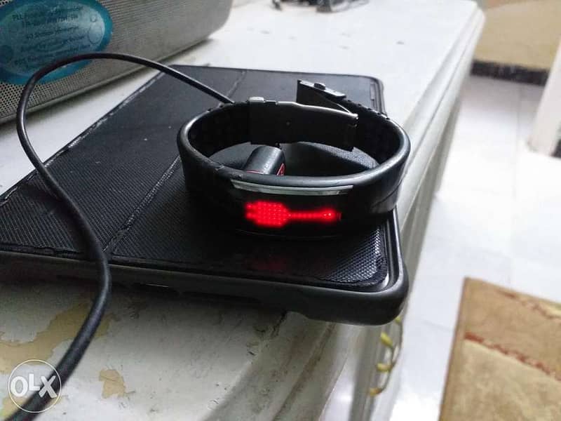 Polar loop 2 3