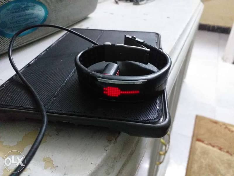 Polar loop 2 4