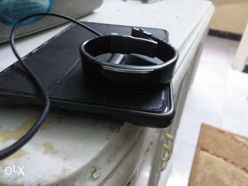 Polar loop 2 5