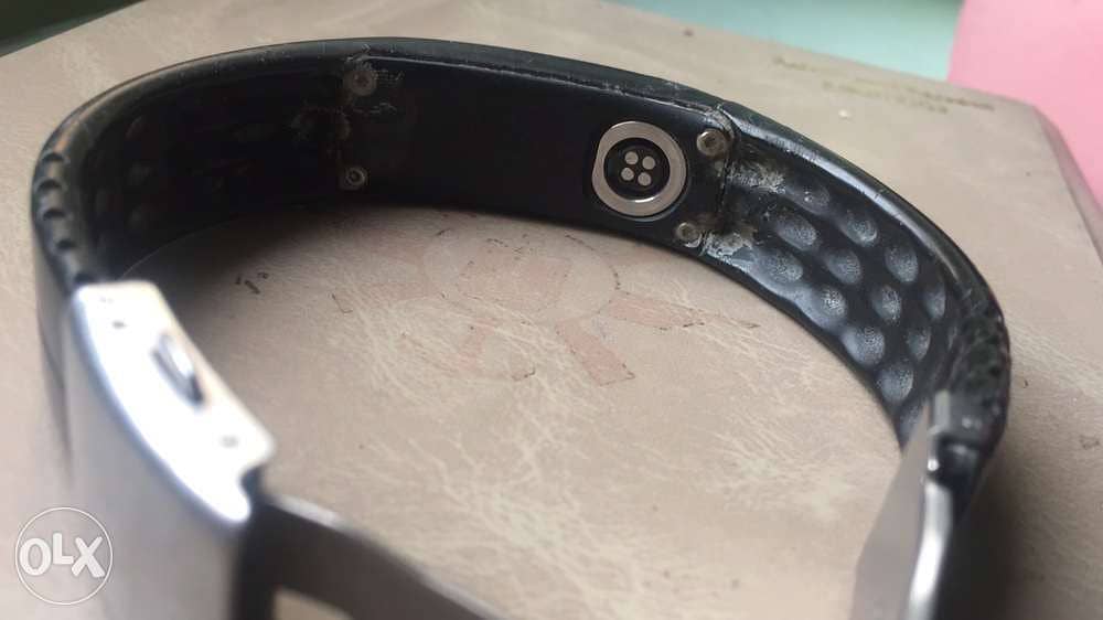 Polar loop 2 6