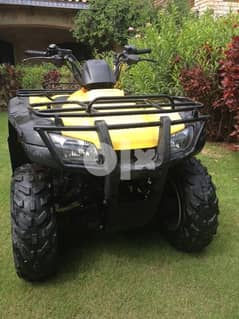 brand new 2005 Honda Rancher 4x4 Limited edition 400CC fully loaded