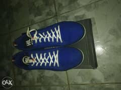 New Tommy shoes size 45