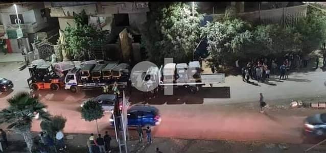 صيانه نباتات زينه