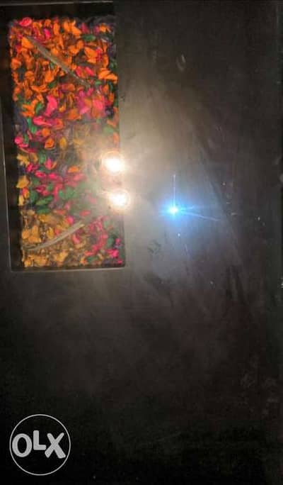 سفره كامله ونيش