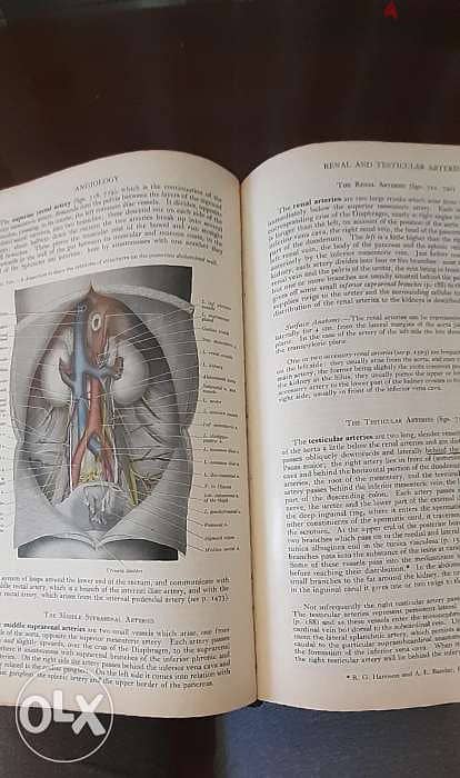 . GRAY,s Anatomy. للأطباء وطلبة الطب 2